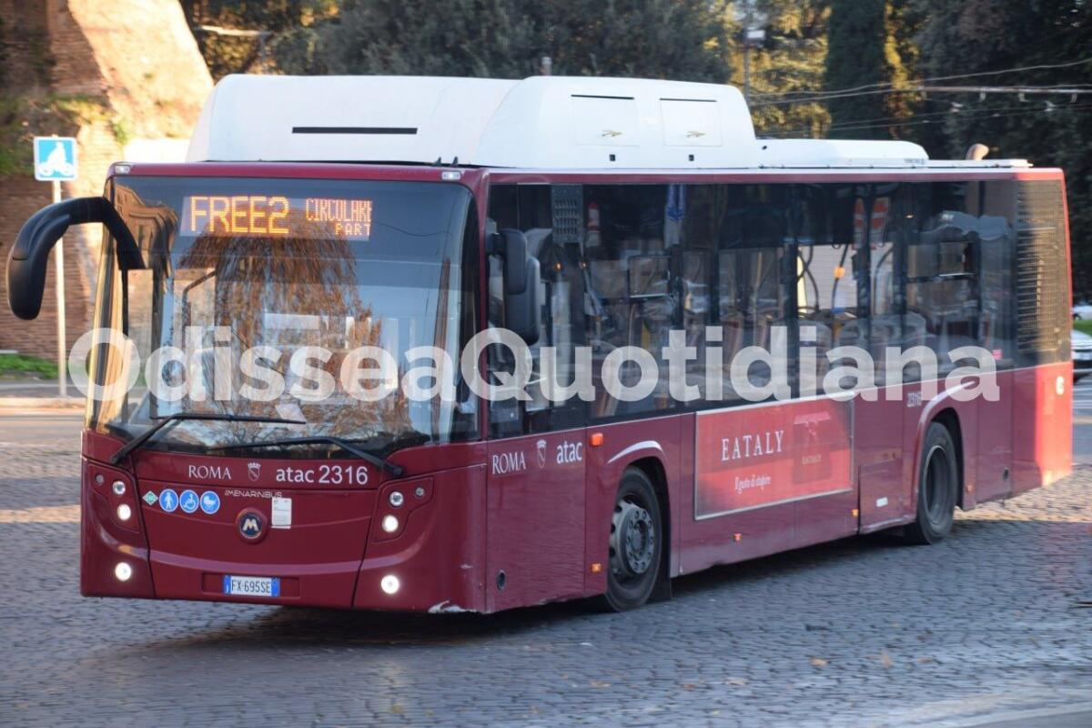 Natale 2024: tornano le linee Free per lo shopping - 