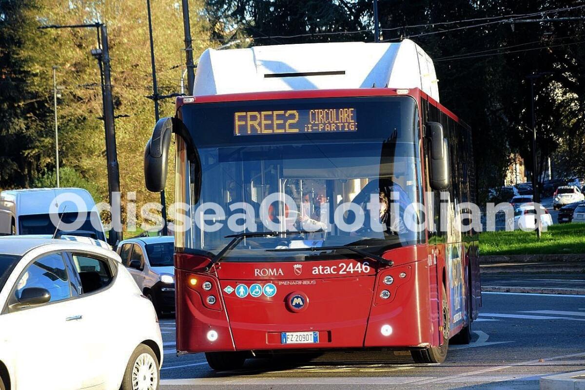 Natale 2024: le linee Free trasportano aria? - 