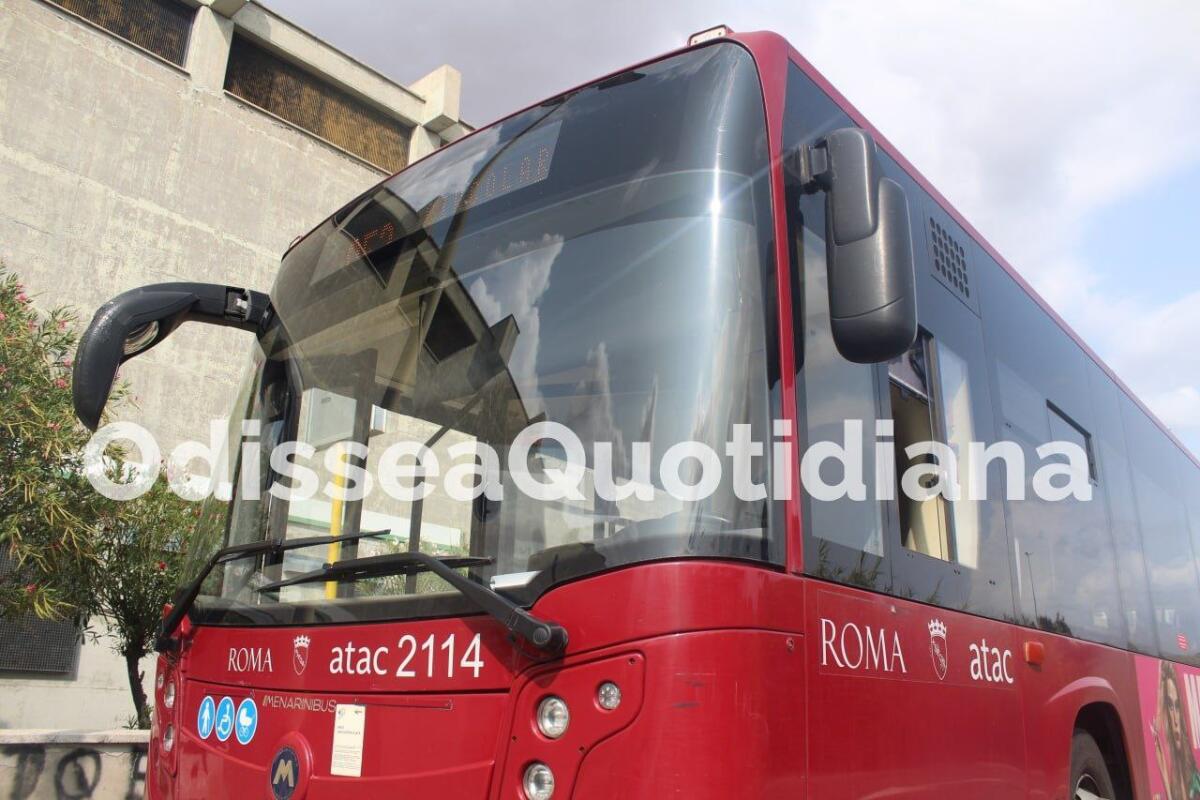 Ponte dell’Industria: prende forma la nuova rete autobus - 