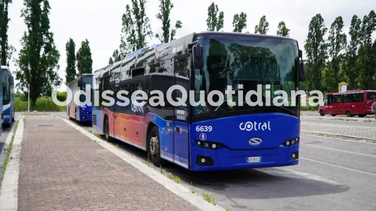 Cotral: dal 27 gennaio attive nuove corse dirette da Sora e Frosinone per Roma - 
