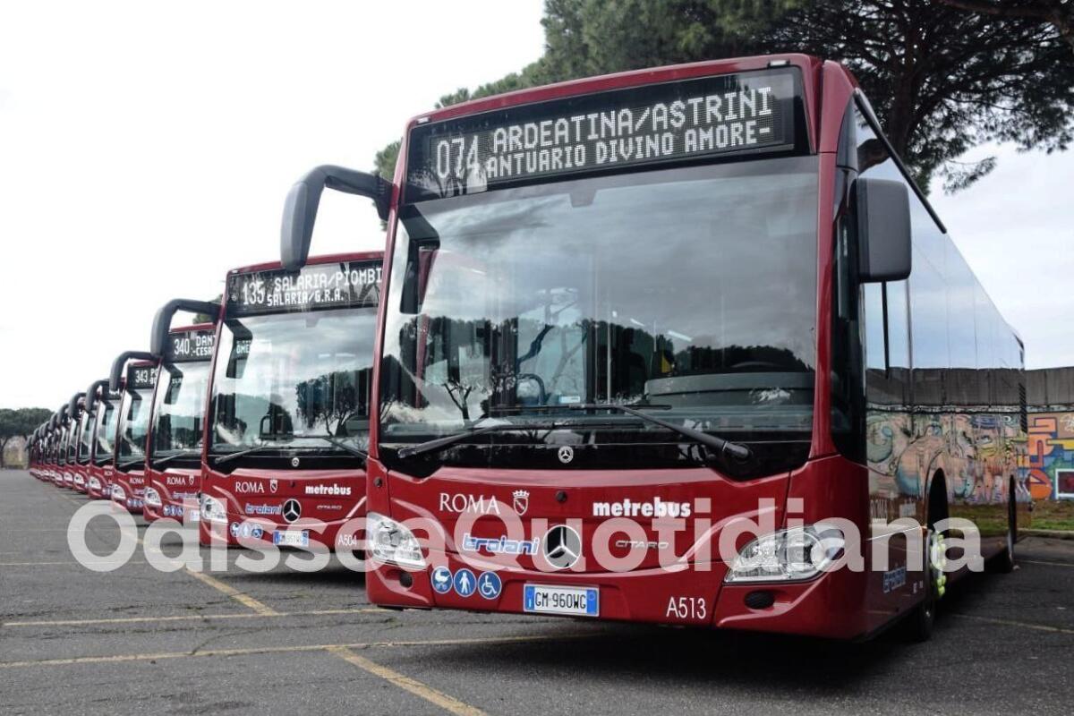Rete bus periferica: Troiani acquisisce altri 20 Citaro ibridi - 