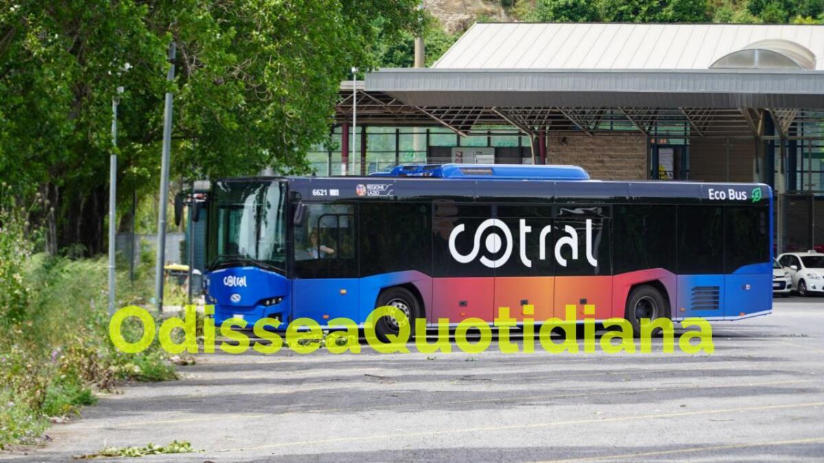 Via del Mare: rimosso il divieto di transito ai mezzi sopra le 3,5 tonnellate - 