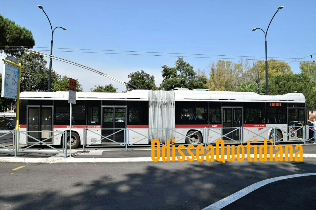 Filobus: avviato l'adeguamento delle fermate del Campus Biomedico - 