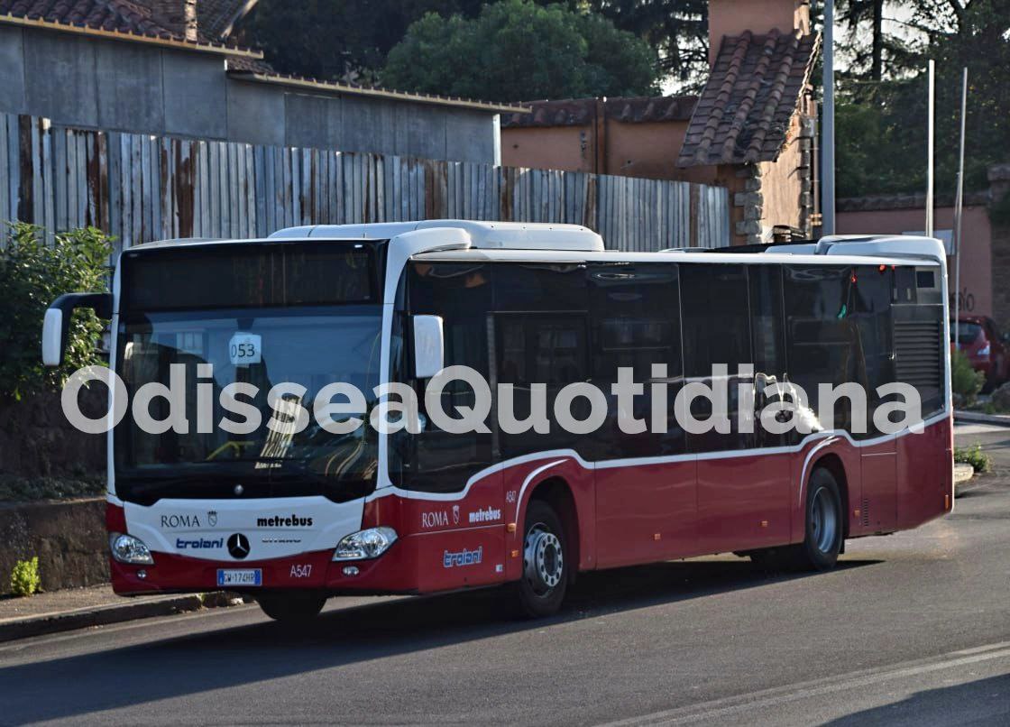 citaro.jpg