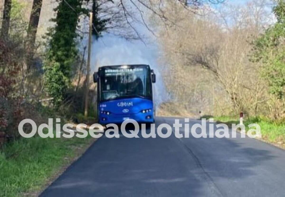 Cotral: a fuoco un bus vicino al lago di Bracciano - 