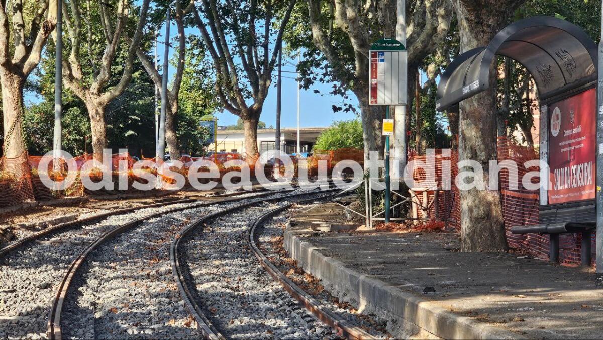 Rete tram: fine settimana di potature sulla circonvallazione Gianicolense - 