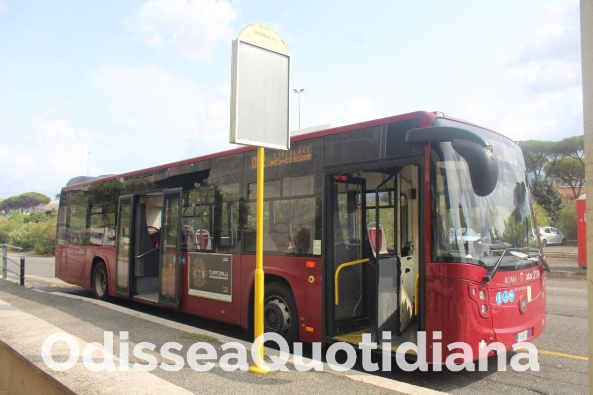 Ponte dell’Industria: come cambia la rete autobus - 