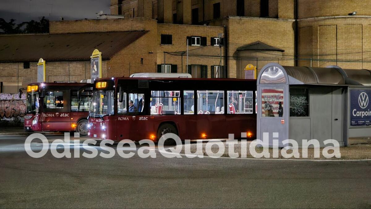 Autobus: modificate le linee 014 e 341 deviata scolastica - 