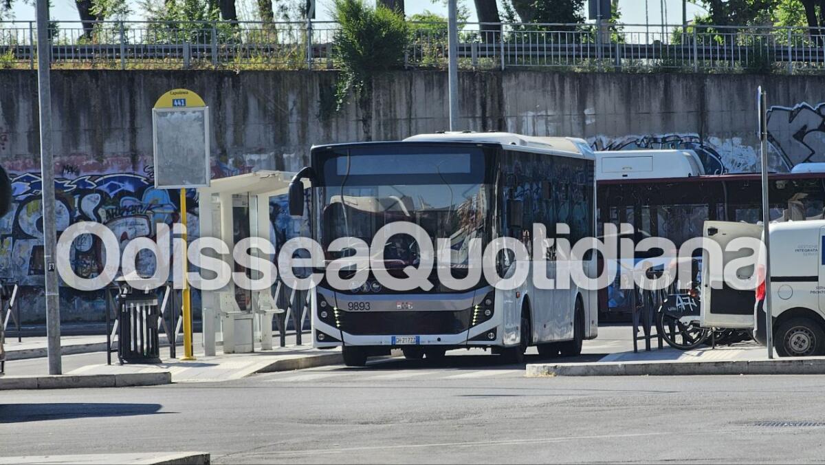 Autobus: il XV municipio chiede l'estensione dello 032 alla Cerquetta - 