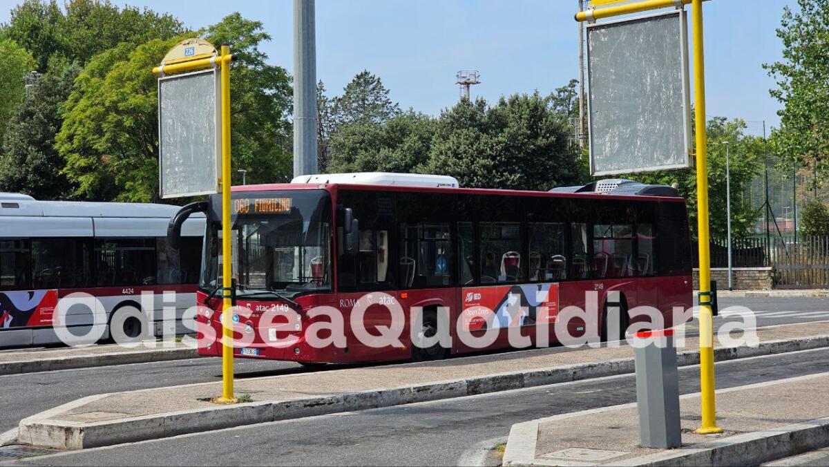 Autobus: un possibile nuovo servizio per la Moschea - 