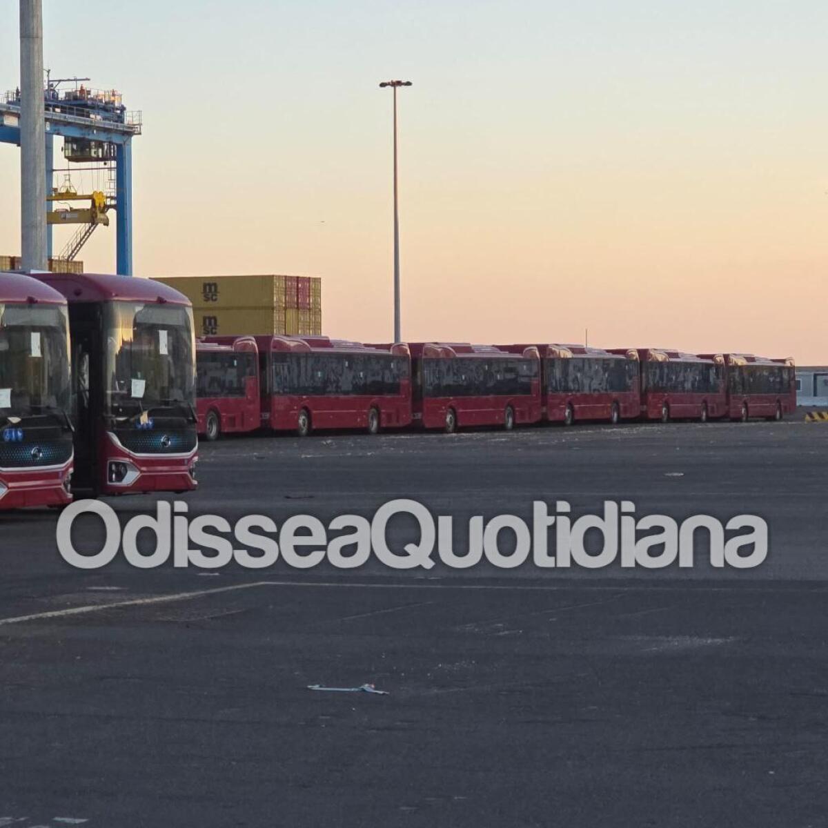 Rete bus periferica: i King Long sbarcano a Civitavecchia - 