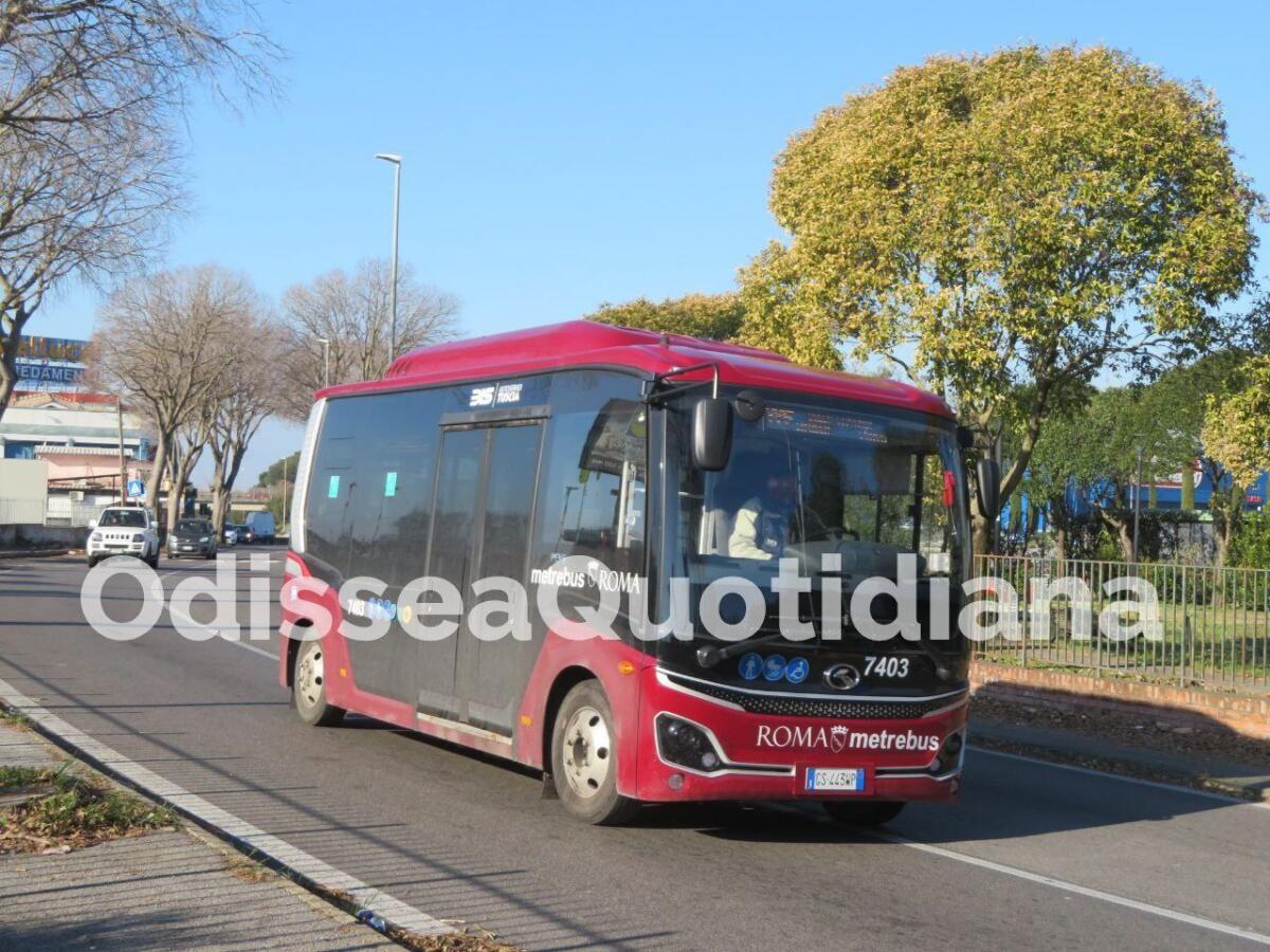 Rete bus periferica: che fine hanno fatto i nuovi bus? - 