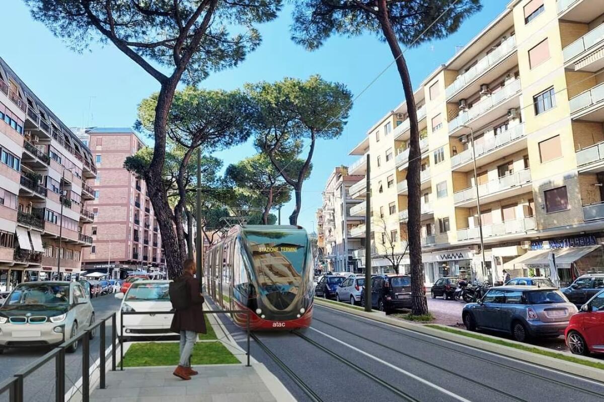 Tramvia TVA: parte la protesta contro il taglio degli alberi - 