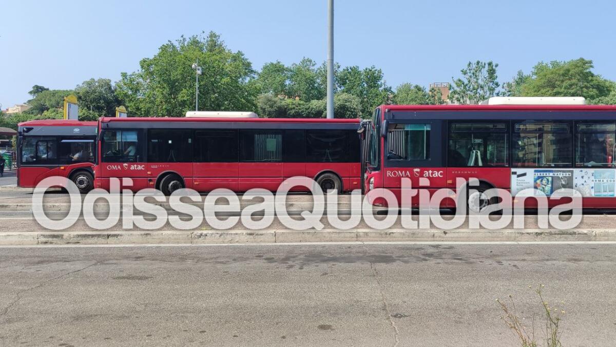 Metrebus: come detrarre l'abbonamento col 730 - 