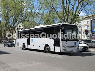 autobus utilizzati da Riccitelli a Roma