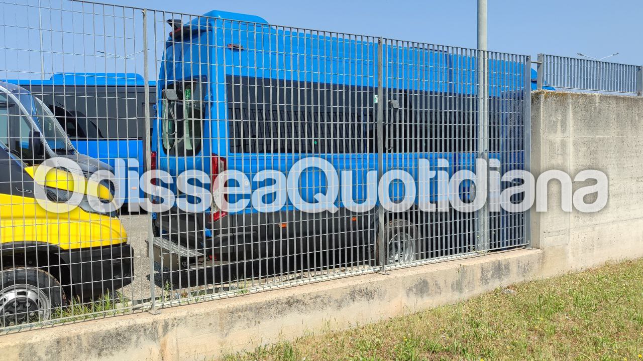 Nuovo minibus Iveco Daily Line H3 Cotral per trasporto pubblico regionale