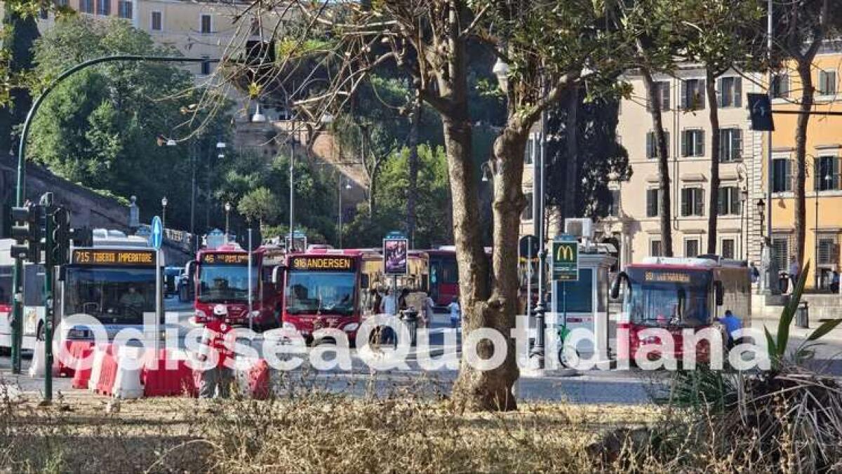 Tornano le puntate di #AutobusDiRoma - 