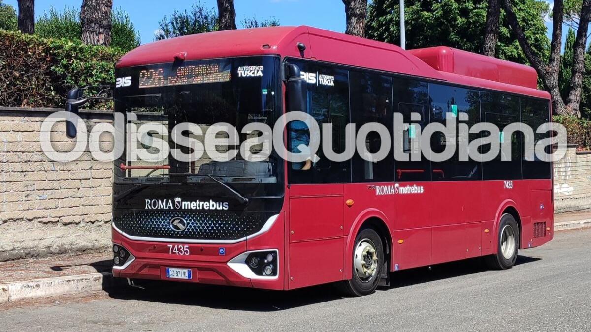 Rete bus periferica: i 99 King Long di BIS entrano in servizio - 