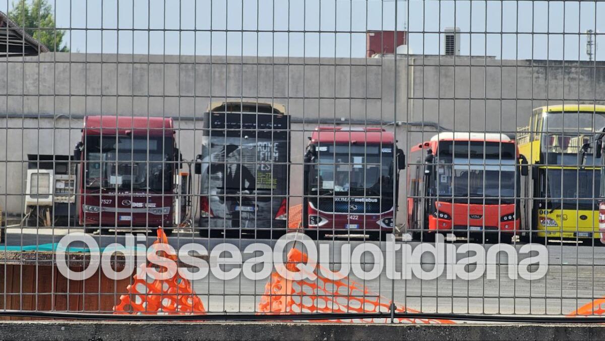 Rete bus periferica: autobus elettrici fermi senza corrente - 