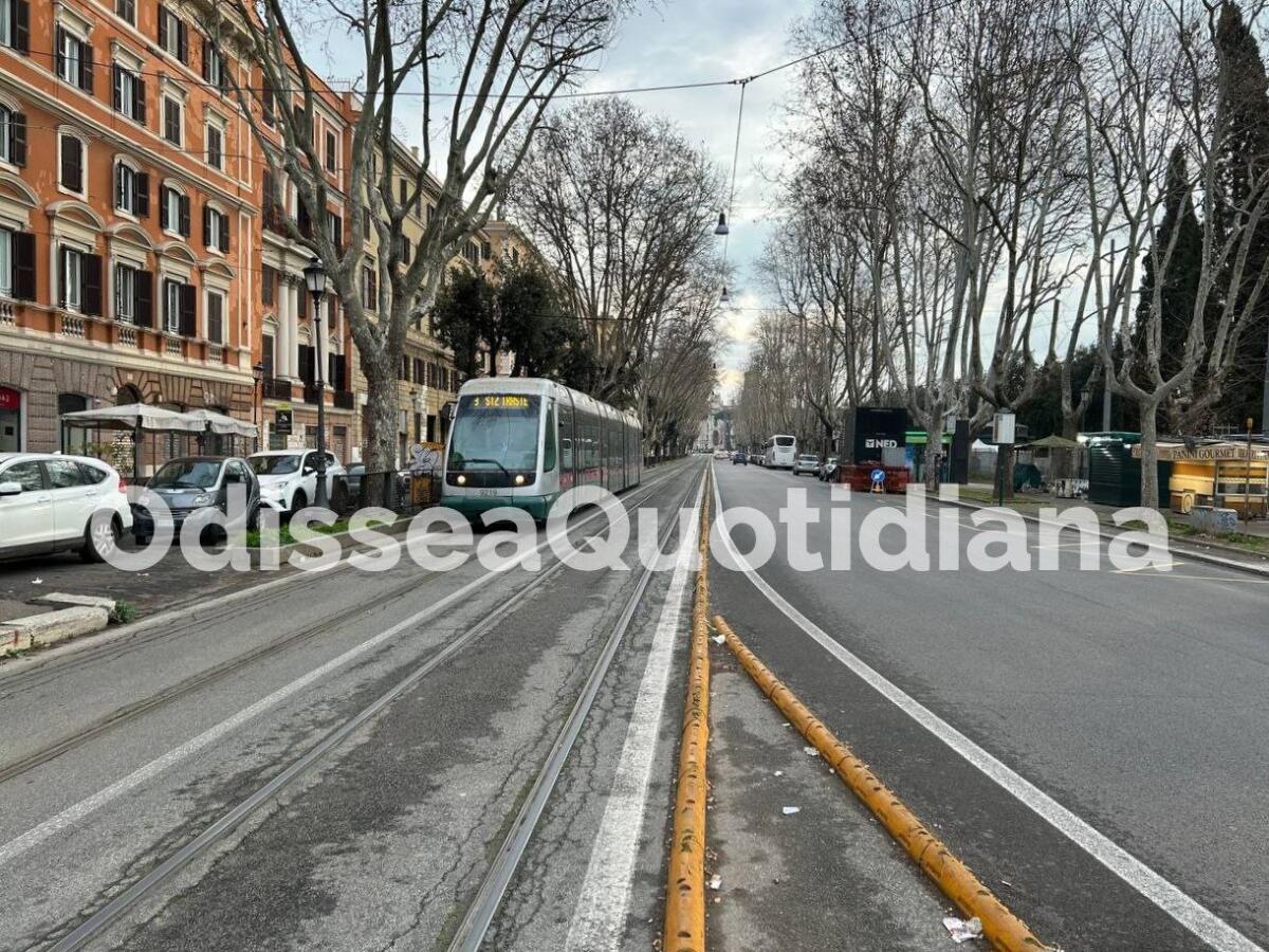 Rete tram: sabato 12 luglio modifiche alle linee 3 e 8 per potature - 
