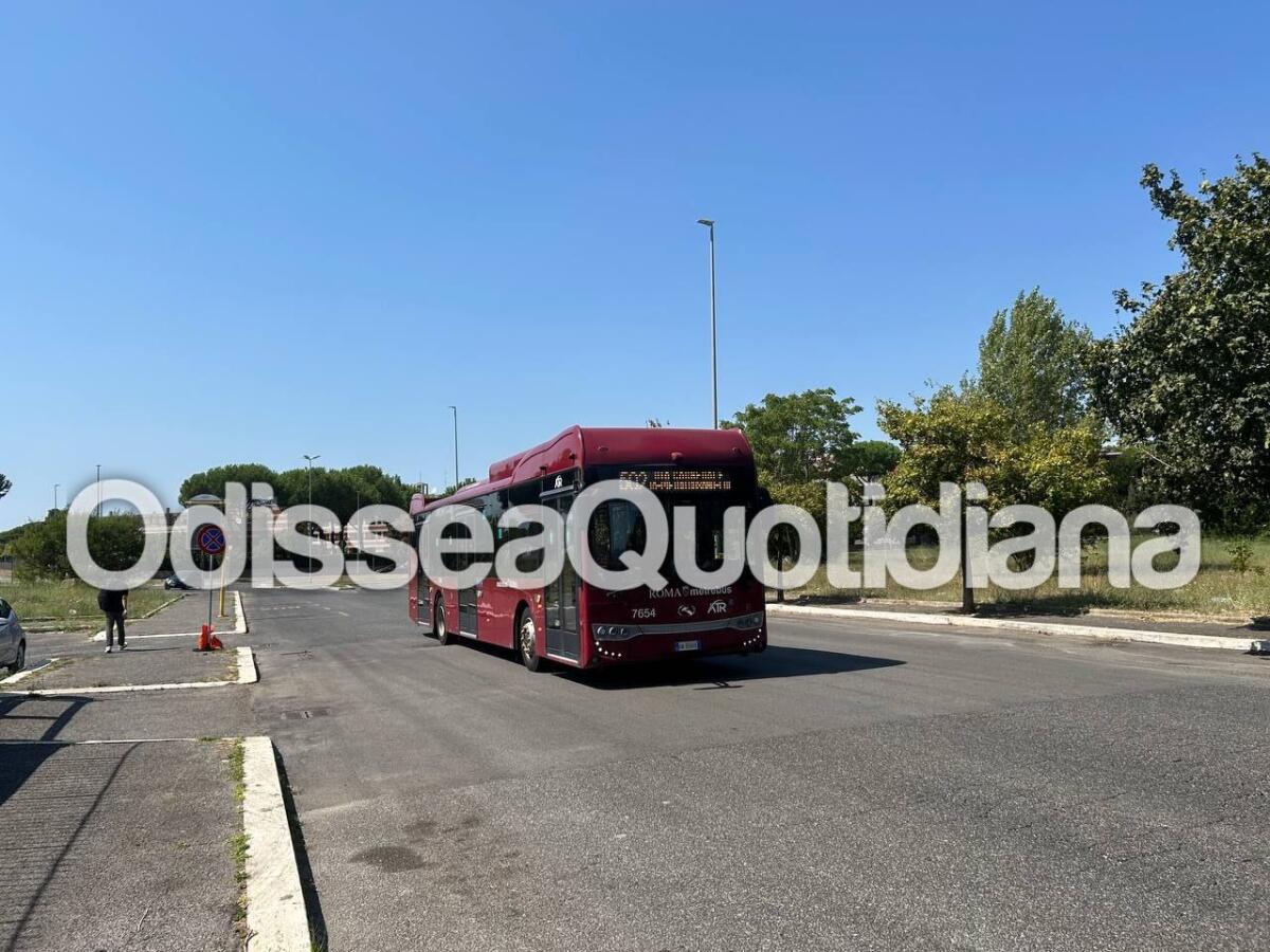 Rete bus periferica: entrano in servizio nuovi autobus elettrici - 