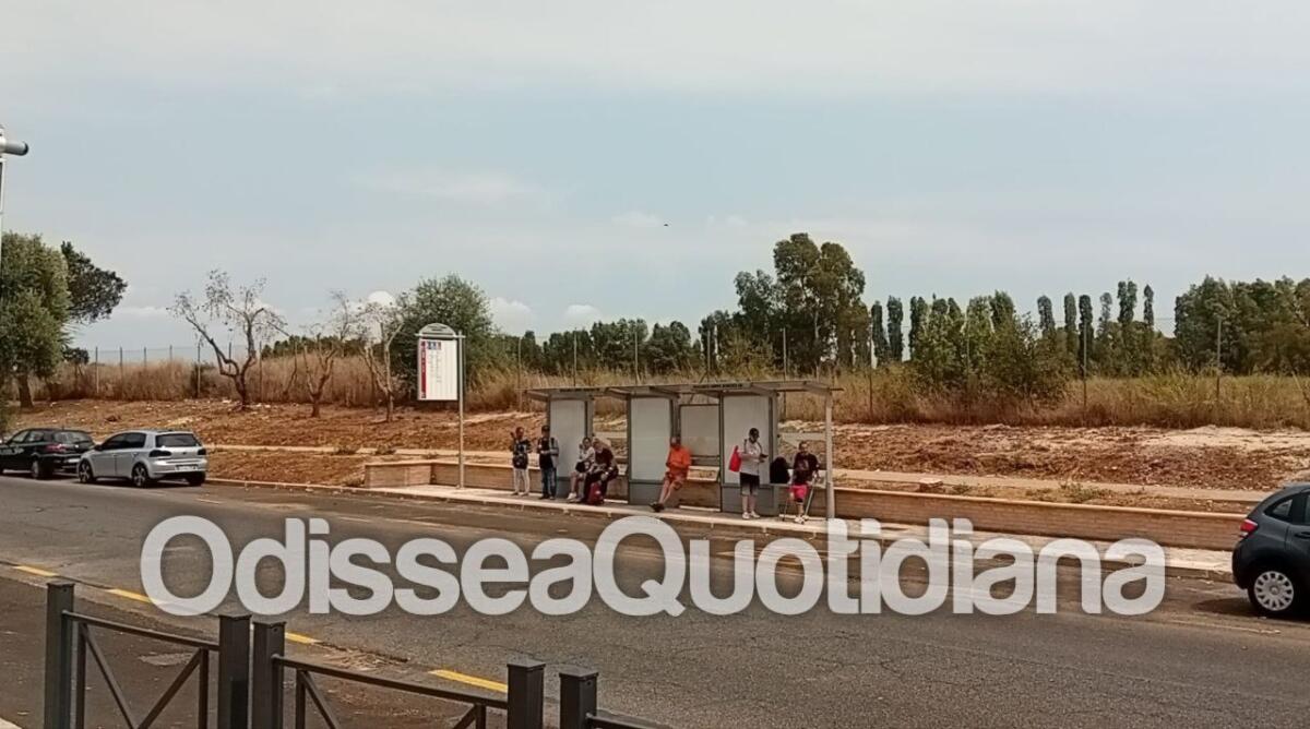 Atac: attivate le nuove fermate del Campus Biomedico - 