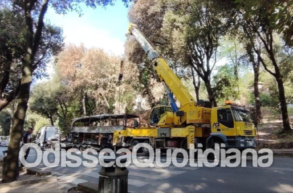 Autobus: parte la rimozione del bus Gran Turismo a Villa Borghese - 