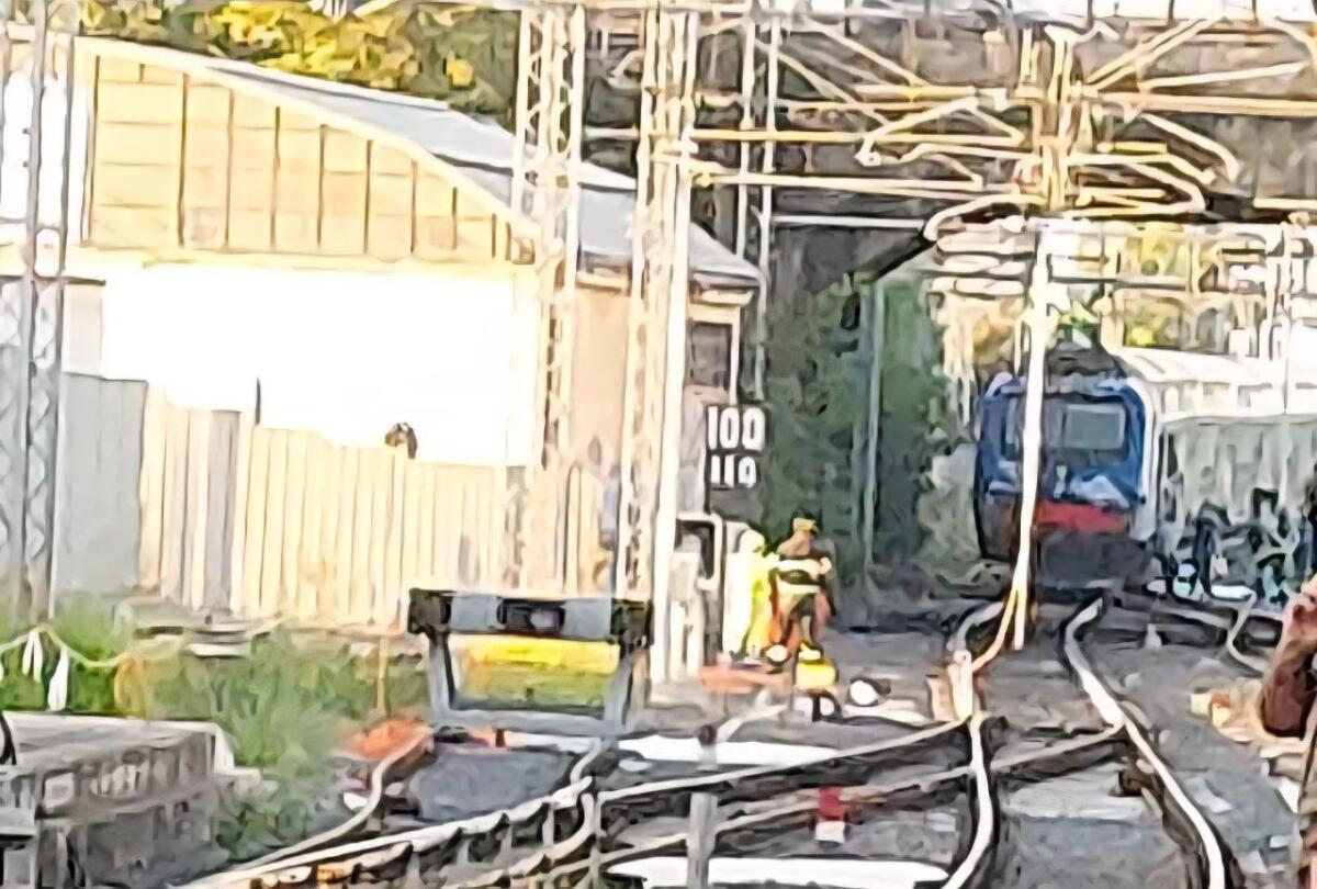 FL8 Roma-Nettuno: cade la linea elettrica, circolazione sospesa - 