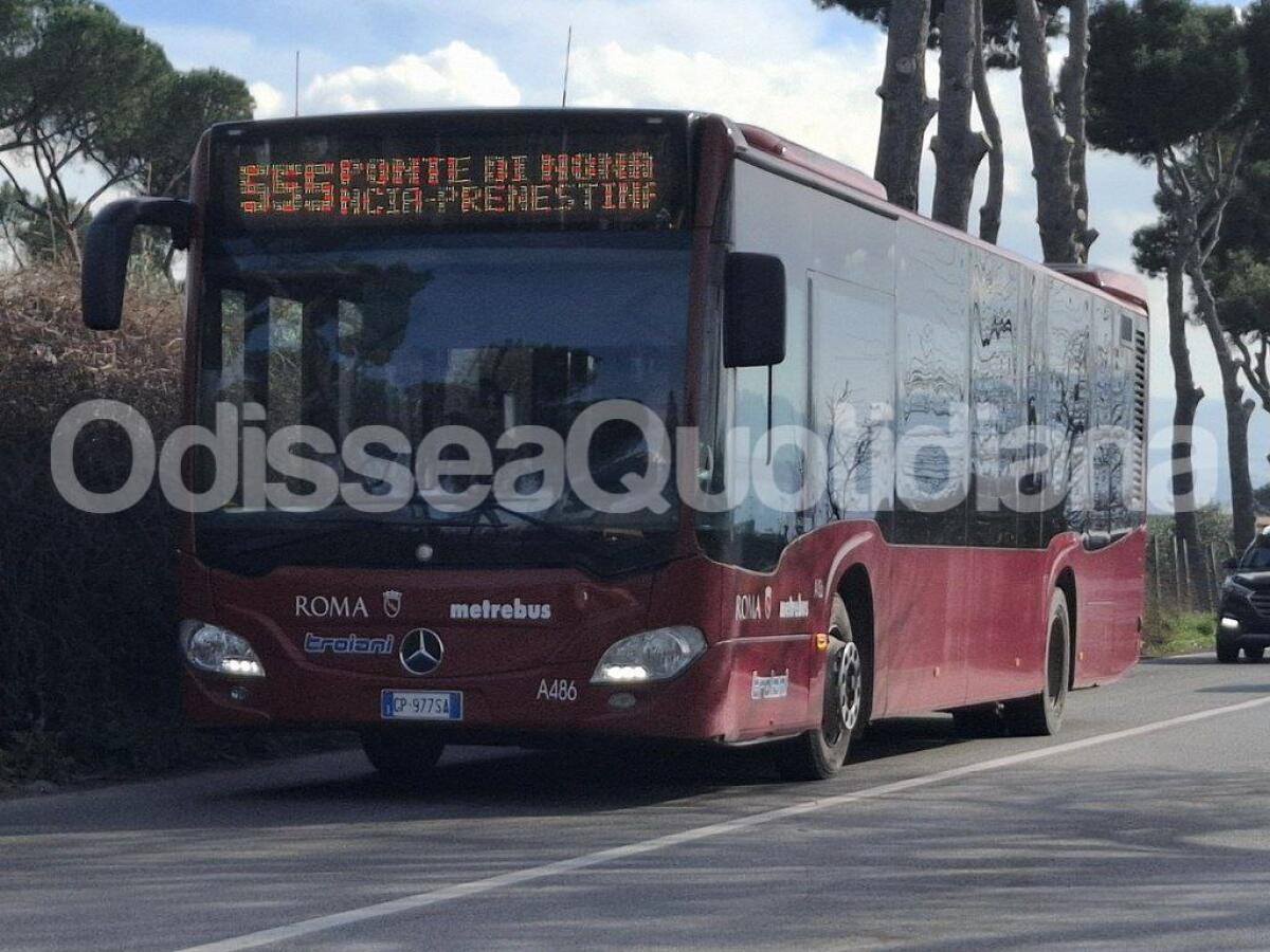 Rete bus periferica: dal 10 settembre modifiche alla linea 555 - 