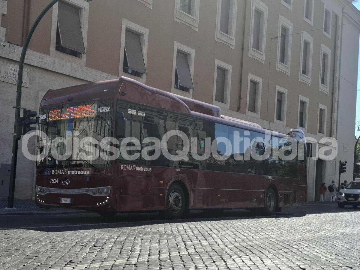 Rete bus periferica: il servizio ingrana, migliora la qualità del trasporto - 