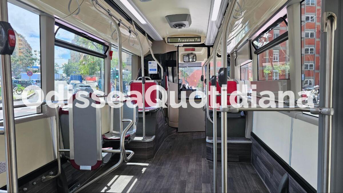 Nuovi orari e percorsi per le linee 708 e 06DS: cosa cambia da lunedì 6 ottobre - 