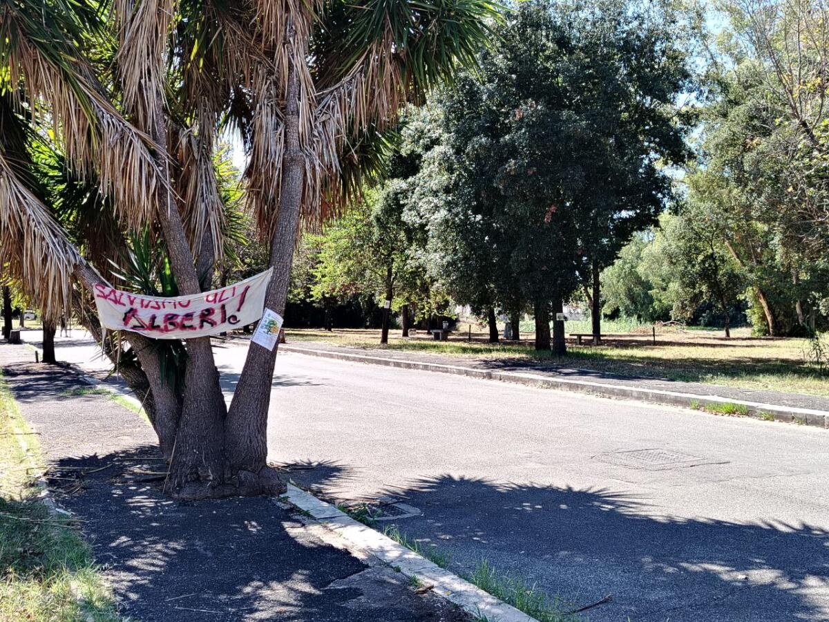 Acilia Sud: comitati e associazioni contro il parcheggio P2 - 