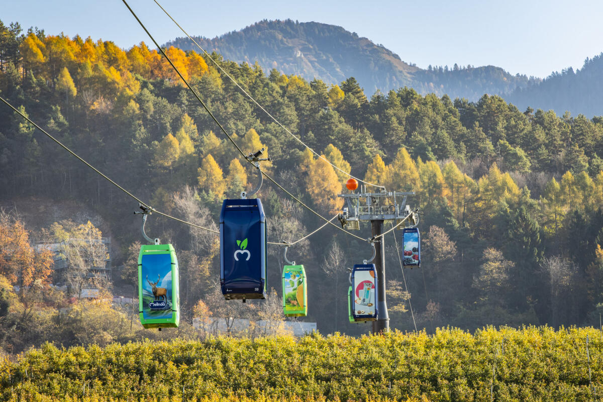 Dall'Italia: inaugurata in Trentino la prima funivia... Per mele - 