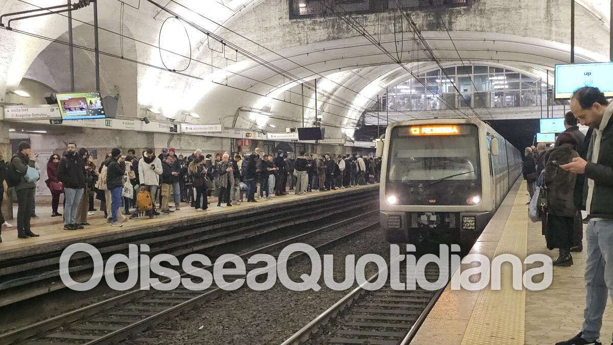Metro B: cade un ramo sulla linea, servizio interrotto tratta Piramide-Laurentina - 