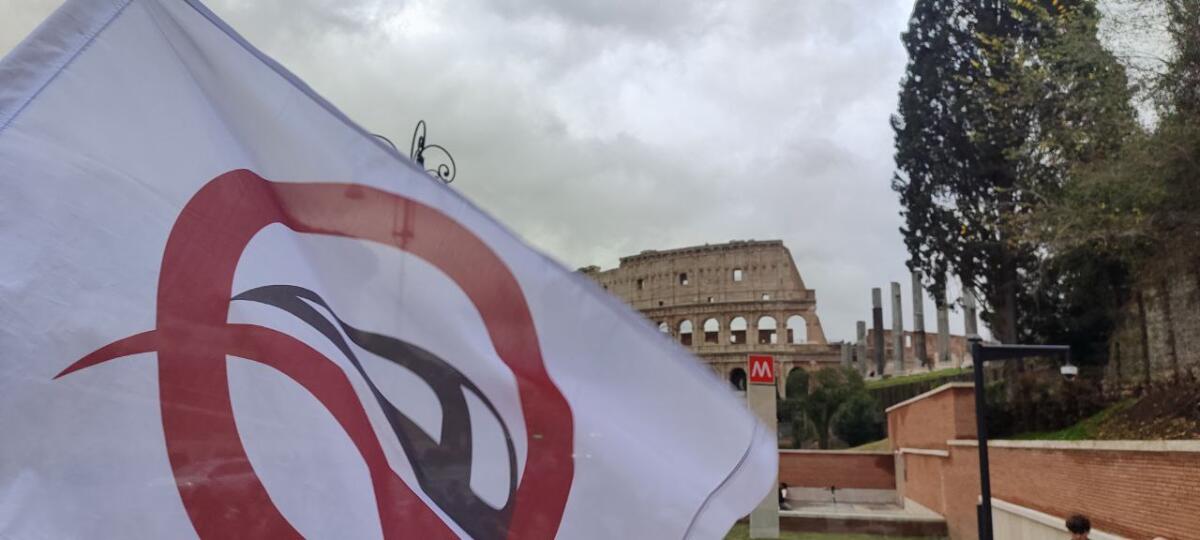 C-SIAMO: oltre 1.500 partecipanti alle visite guidate, bilancio e prospettive - 