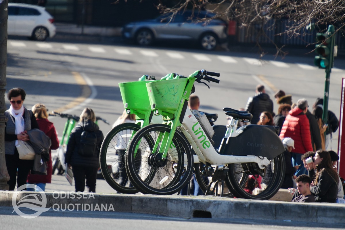 Sharing: gratuità salva, parola di Patané - 