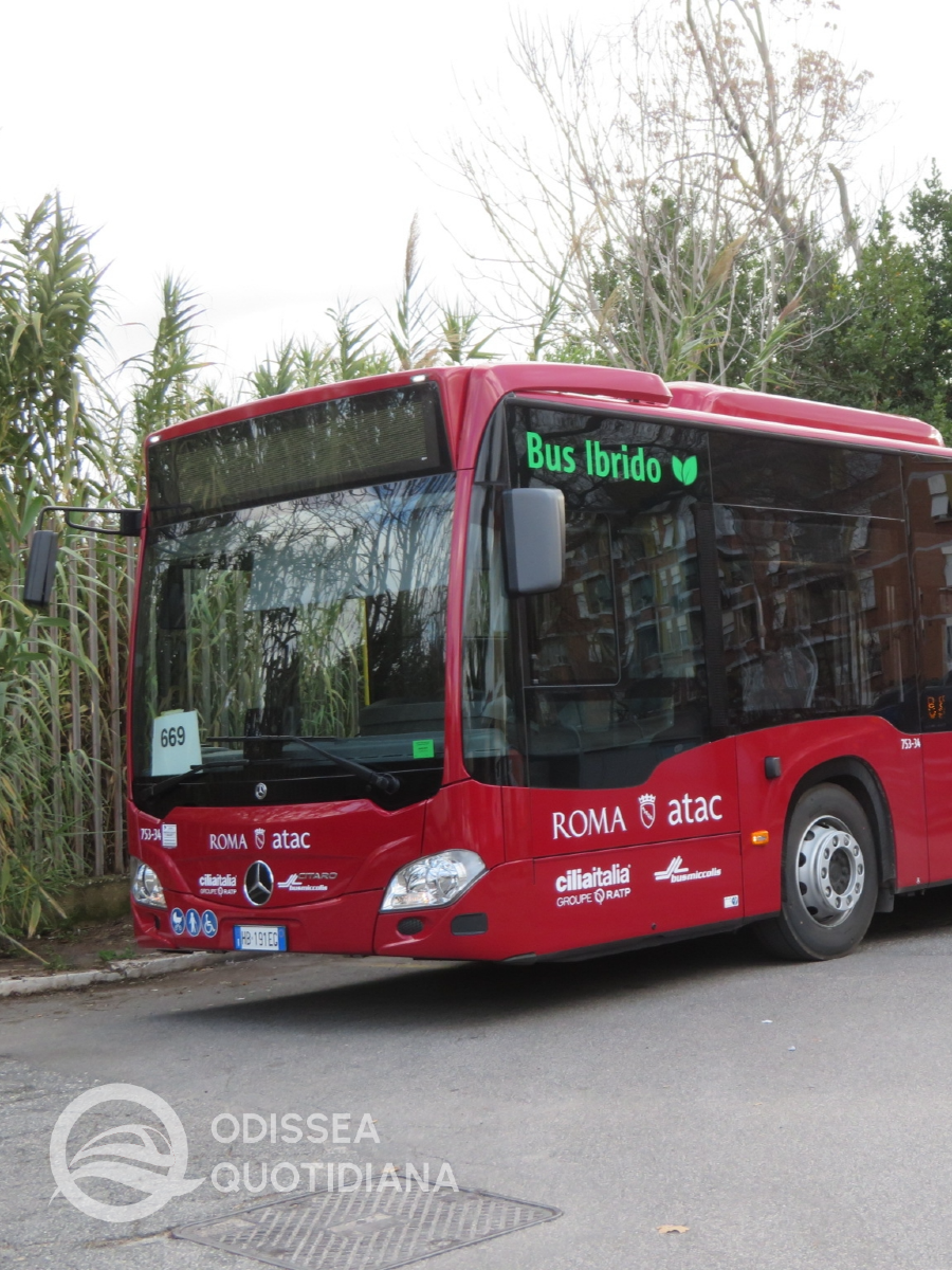 #citaro #cilia #miccolis