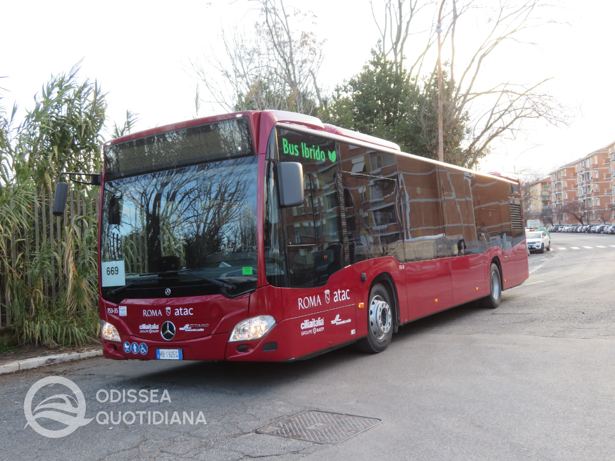 #citaro #cilia #miccolis