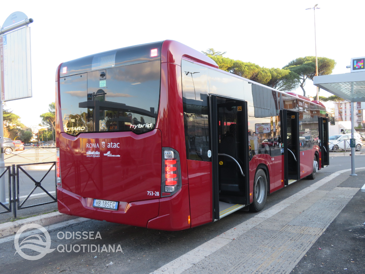 #citaro #cilia #miccolis