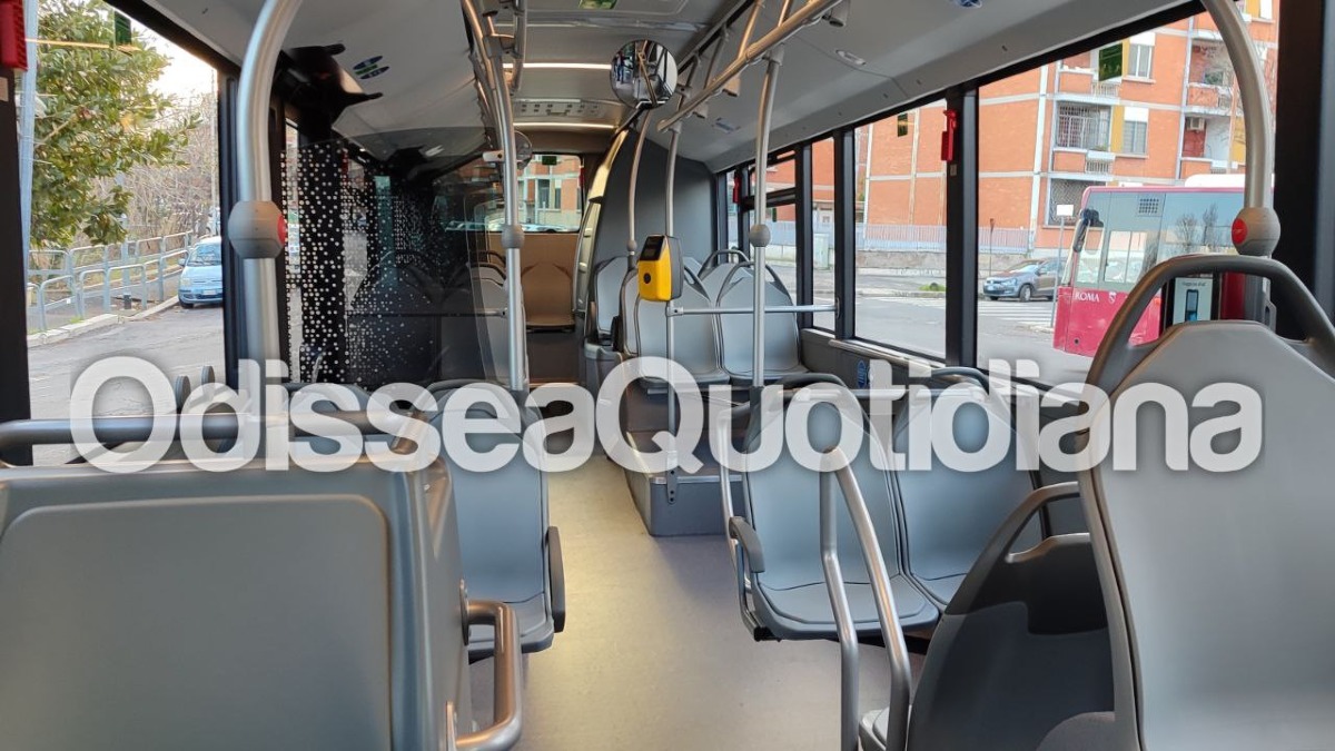 #cilia #miccolis #citaro #interni