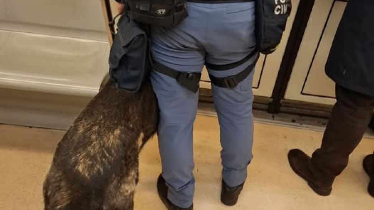 Metro C, unità cinofile in servizio tra San Giovanni e Colosseo: segnalazioni dai passeggeri - 