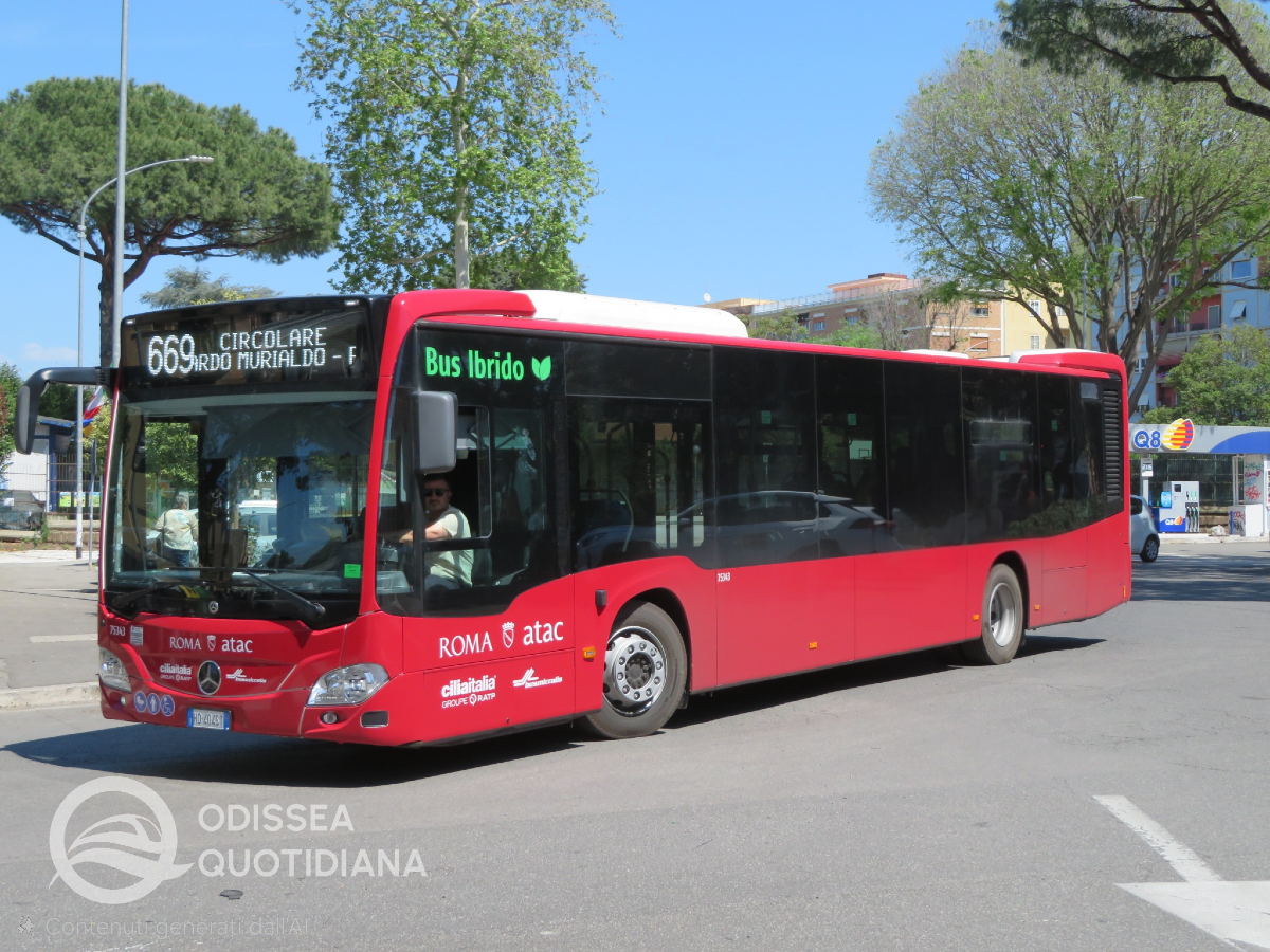 #citaro #cilia
