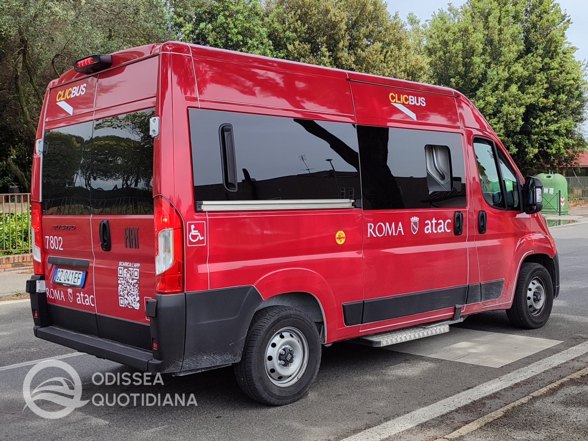 #clicbus #bis #ducato