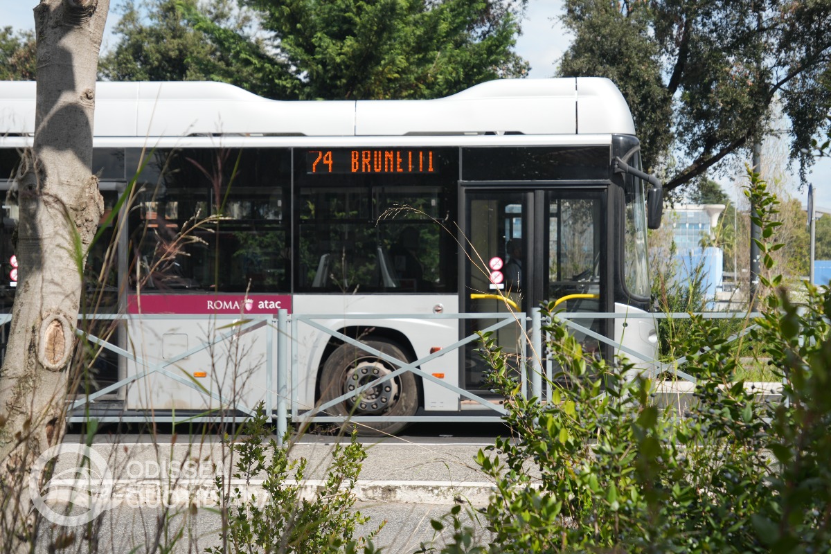 Filobus: 7 anni di corridoio Laurentino, un bilancio tra luci e ombre - 