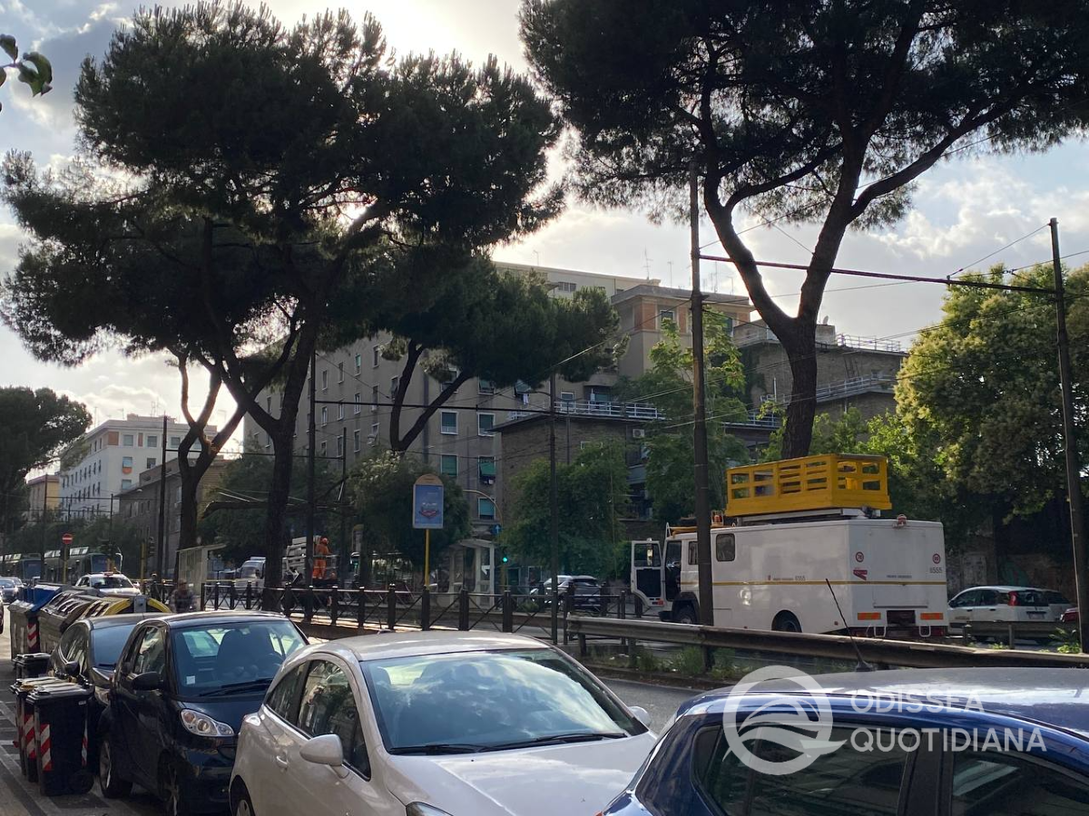 Tram: cade un ramo sulla Prenestina, interrotta la linea 514 - 