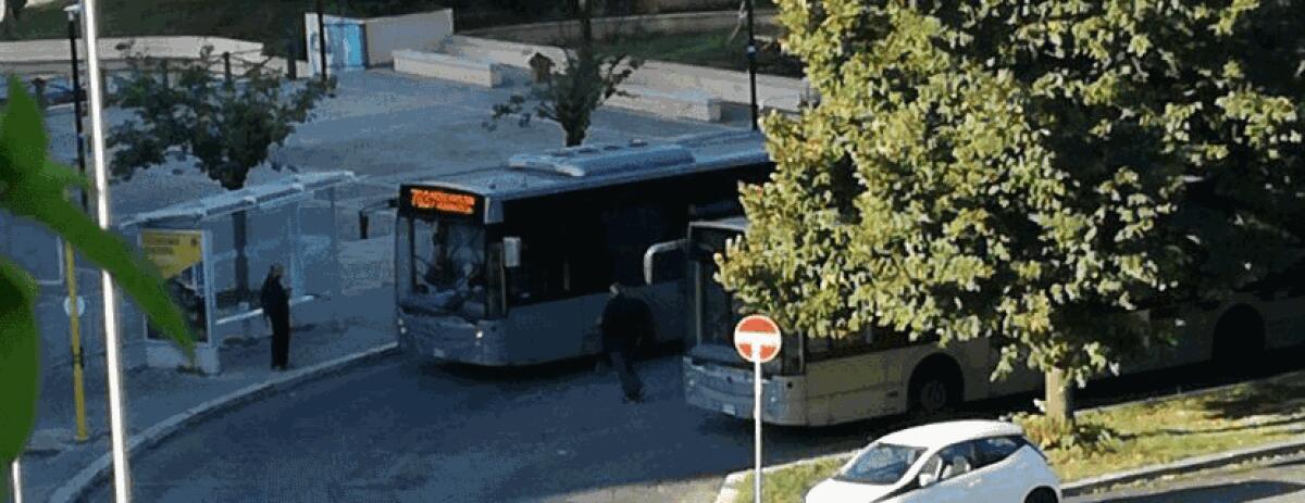 Autobus: dal 3 agosto la linea 763 limita il percorso alla stazione Laurentina - 