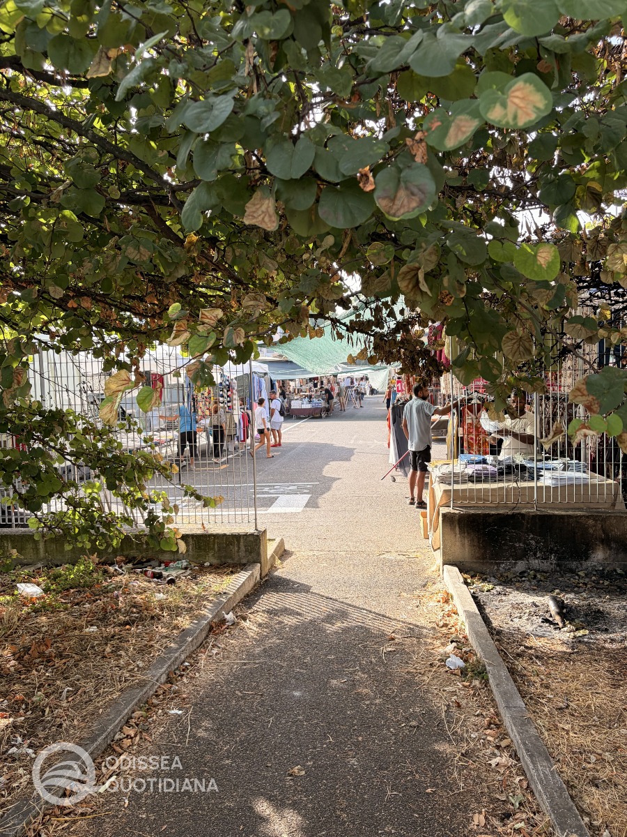 Ciclabile viale delle Accademie