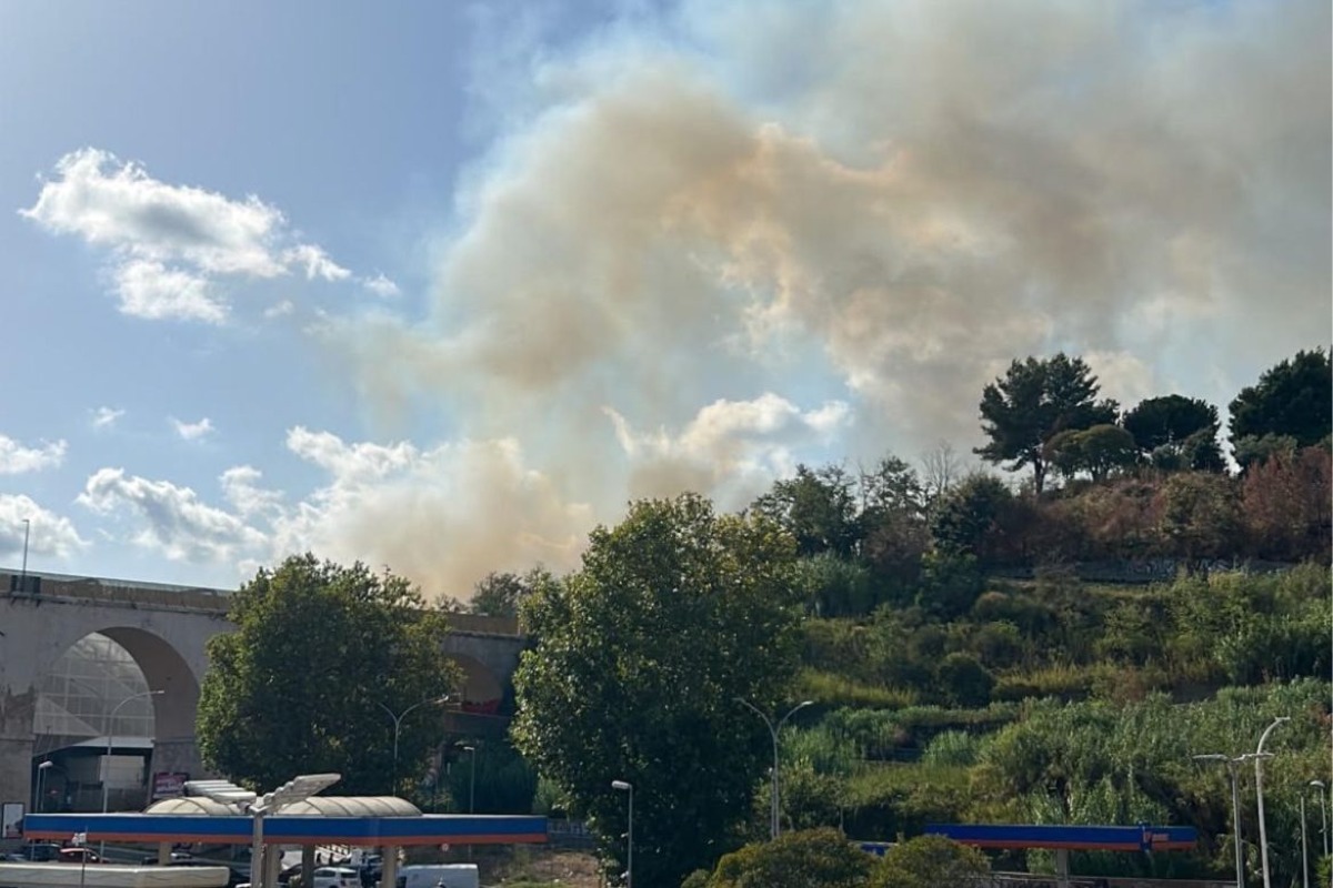 FL3 Roma-Viterbo sospesa, incendio a Monte Ciocci: treni fermi tra San Pietro e Monte Mario - Radio globo